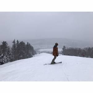 Meet your Posher, Bailey